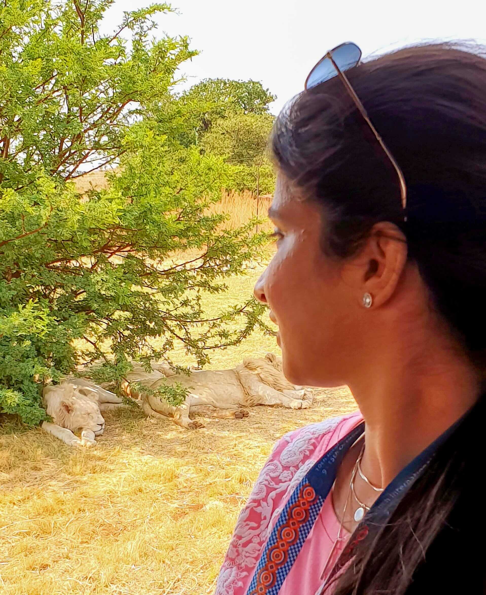 The left photo depicts the Northern Lights, or Aurora Borealis, illuminating the background in Iceland. The photo on the right features two white lions in the national reserve near Johannesburg, South Africa.
